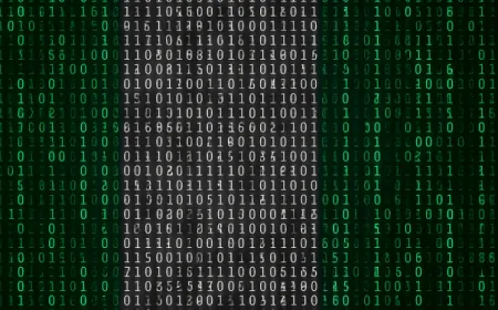 Nigeria thí điểm khai báo tiền điện tử tại sân bay Abuja