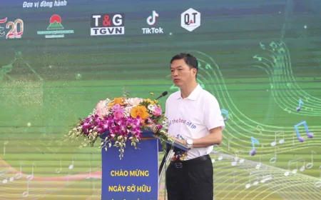 AI phát triển, các sản phẩm âm nhạc dễ dàng bị sao chép