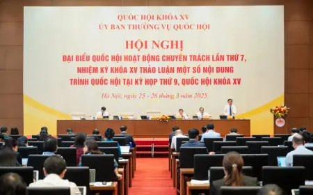 Làm rõ AI "rủi ro cao", định hình phát triển công nghệ bán dẫn