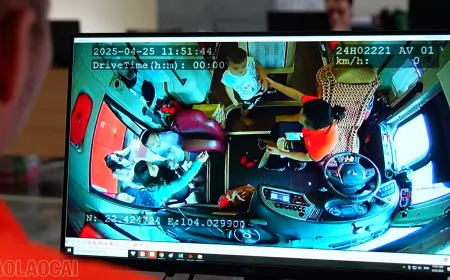 Ứng dụng trí tuệ nhân tạo giám sát lái xe