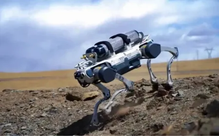 Robot chó xuất hiện dày đặc ở Singapore