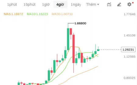 Nguy cơ 'bơm thổi' và thao túng khi giá Pi biến động mạnh