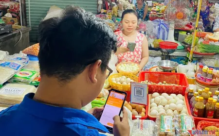 Khung kiến thức, kỹ năng số cơ bản ưu tiên phổ cập AI cho người dùng