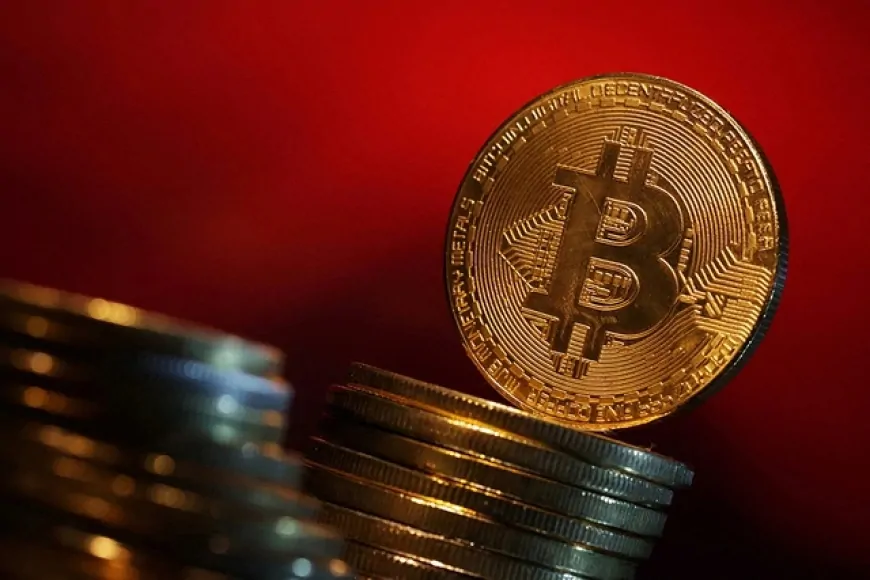 Vô tình vứt bỏ ví Bitcoin trị giá 3 triệu bảng Anh