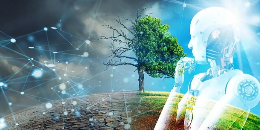 AI và vệ tinh: Công cụ hữu ích để theo dõi biến đổi khí hậu