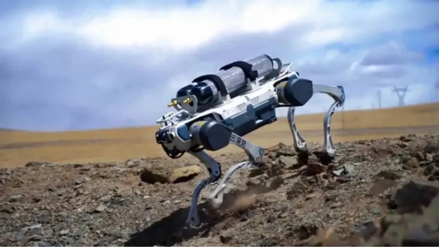 Robot chó xuất hiện dày đặc ở Singapore
