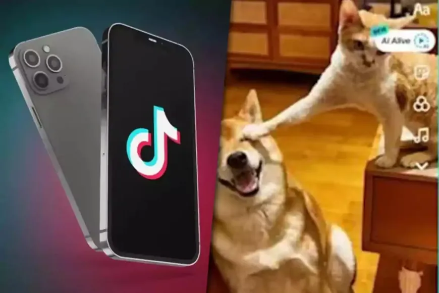 TikTok AI biến ảnh thành video