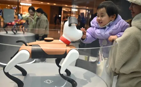 Thú cưng AI được ưa chuộng ở Trung Quốc