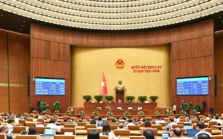 Việt Nam là quốc gia đầu tiên ban hành Luật Công nghiệp công nghệ số