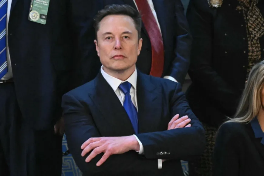 Elon Musk: AI sẽ thay thế tìm kiếm truyền thống