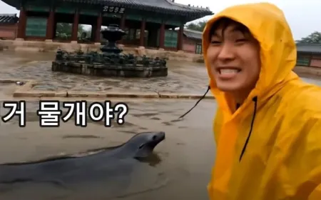 Video AI giả cảnh lũ lụt tại cung điện gây lo ngại về deepfake ở Hàn Quốc