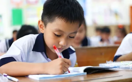 'Nên đưa AI vào tiểu học nhưng cần lộ trình thận trọng'