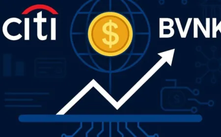 Citi đầu tư vào công ty hạ tầng stablecoin BVNK