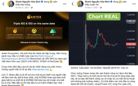 Cách Shark Bình quảng bá AntEx khiến 30.000 nhà đầu tư "sập bẫy"