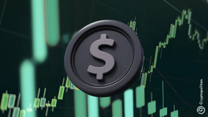 USDT chiếm tới 59% thị phần stablecoin