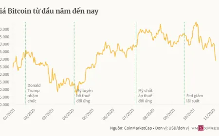 Bitcoin thủng mốc 100.000 USD