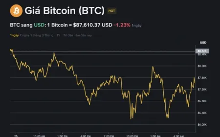 Giá Bitcoin hôm nay 26.11.2025: BTC đảo chiều, TP.HCM lập Liên minh Kinh tế On-chain toàn cầu