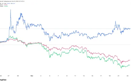 Thị trường tiền số đỏ lửa, vì sao đồng Pi lội ngược dòng?