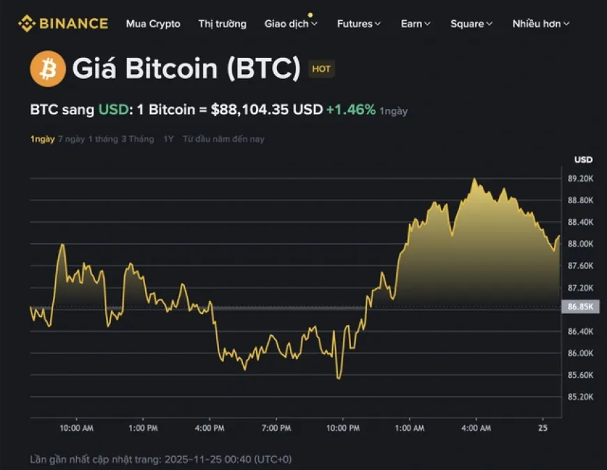 Giá Bitcoin hôm nay 25.11.2025: BTC phục hồi, thị trường khởi sắc