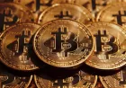 Bitcoin vẫn hút dòng tiền 'cá mập'