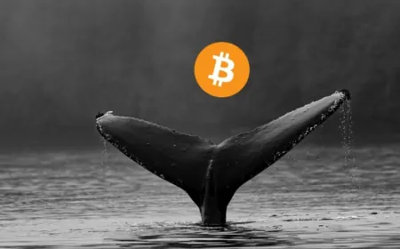 Cá voi Bitcoin tích lũy chậm lại, nhà đầu tư nhỏ tăng tốc