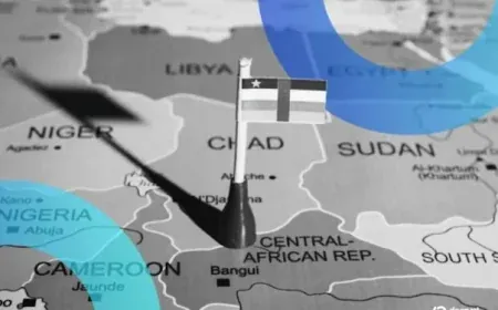 Sáng kiến tài sản mã hóa của Trung Phi bị cáo buộc phục vụ tội phạm và giới tinh hoa