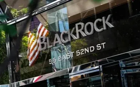Quỹ BUIDL của BlackRock chi trả 100 triệu USD, khẳng định tiềm năng tài chính token hóa