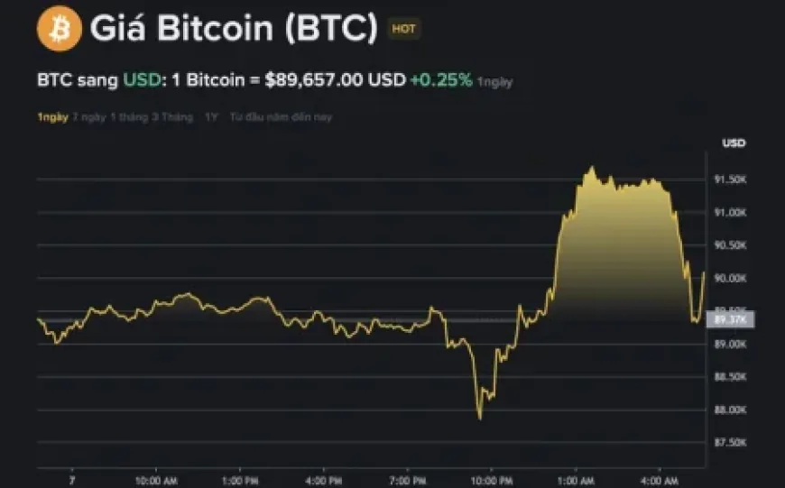 Giá Bitcoin hôm nay 8.12.2025: Thị trường dò đáy khi 2.000 BTC bất ngờ 'thức giấc'