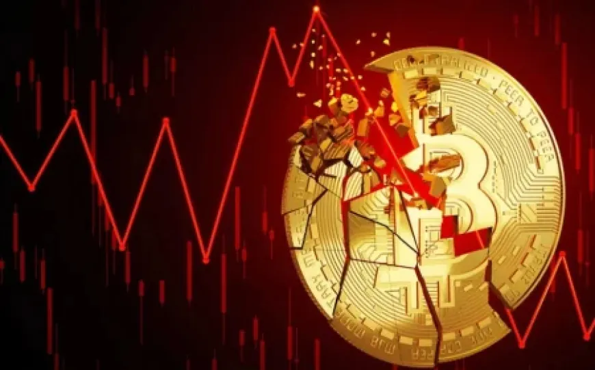 Cú sập bitcoin 2025: Cá voi đi săn, nhà đầu tư nhỏ lẻ nên làm gì?