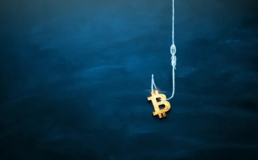 Bitcoin bị gọi là lừa đảo: Sự thật sau cuộc tháo chạy trăm tỷ USD