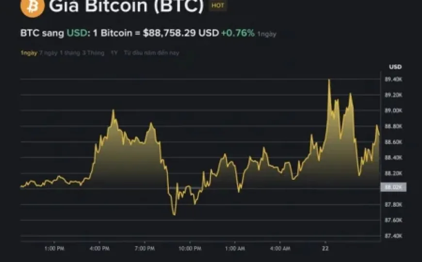 Giá Bitcoin hôm nay 22.12.2025: Liên tục biến động mạnh