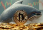 "Cá voi" Bitcoin đã gom hơn 5,3 tỷ USD kể từ giữa tháng 12