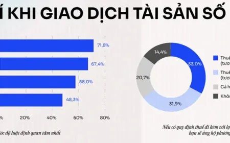 Hơn một nửa nhà đầu tư tiền số Việt Nam thua lỗ trong năm 2025
