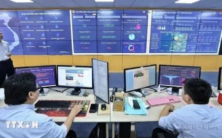 Giảm phân mảnh phần mềm để khơi thông dữ liệu số