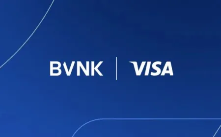 BVNK hợp tác Visa triển khai thanh toán stablecoin trên Visa Direct