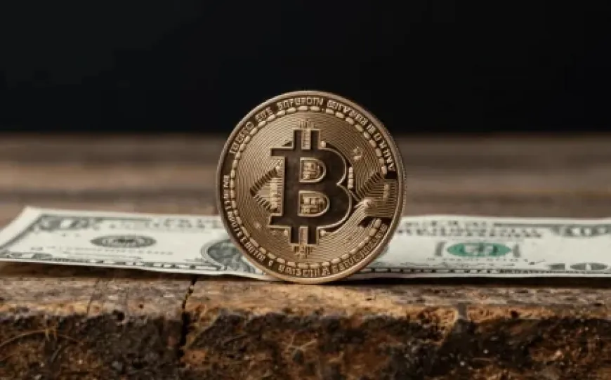 Bitcoin rơi tự do, tỷ USD tháo chạy kỷ lục, đáy sâu ở đâu?