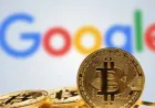 Lượng tìm kiếm tài sản mã hóa toàn cầu chạm đáy khi vốn hóa thị trường giảm 43%