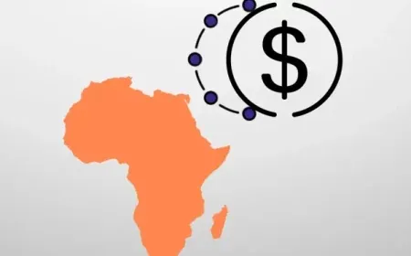 Người dùng stablecoin châu Phi chịu phí chuyển đổi lên tới 19%