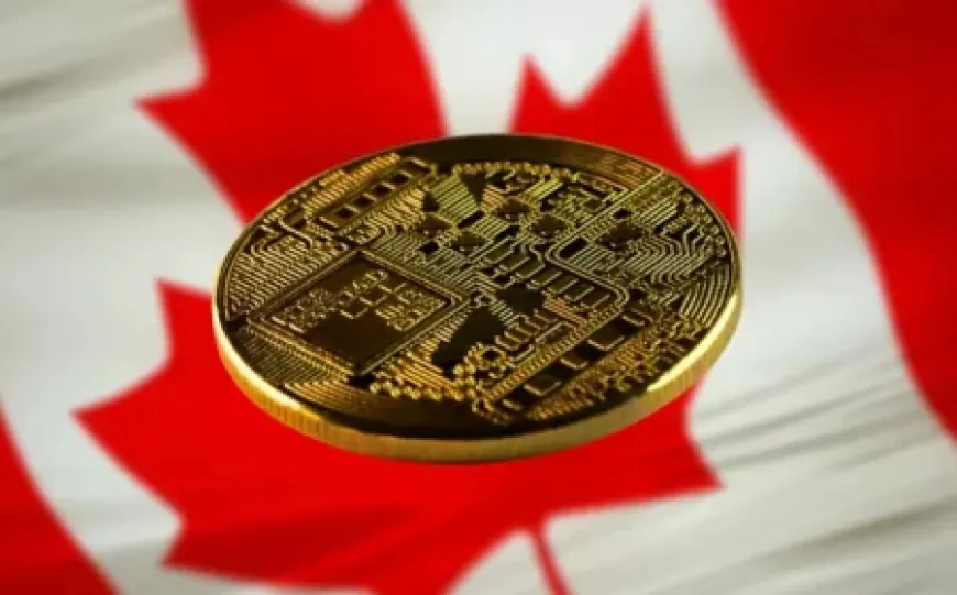 Canada công bố khung quy định lưu ký tài sản mã hóa phân cấp theo rủi ro