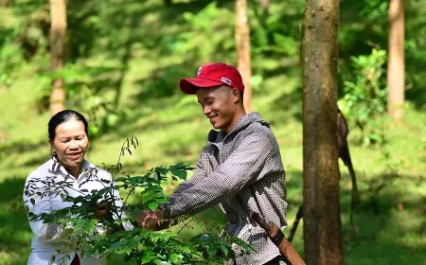 Lộ trình triển khai thị trường tín chỉ carbon, tài sản mã hóa ra sao?