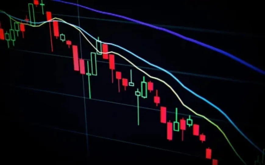 Hai biến số khiến chu kỳ giảm của tiền điện tử khác thường