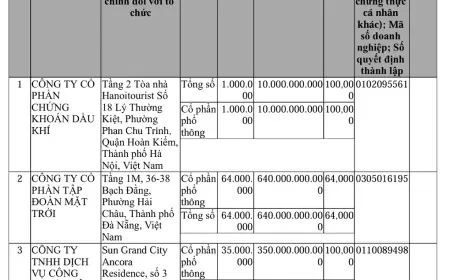 Xuất hiện công ty tiền số mới tại Việt Nam, ông chủ phía sau gây chú ý