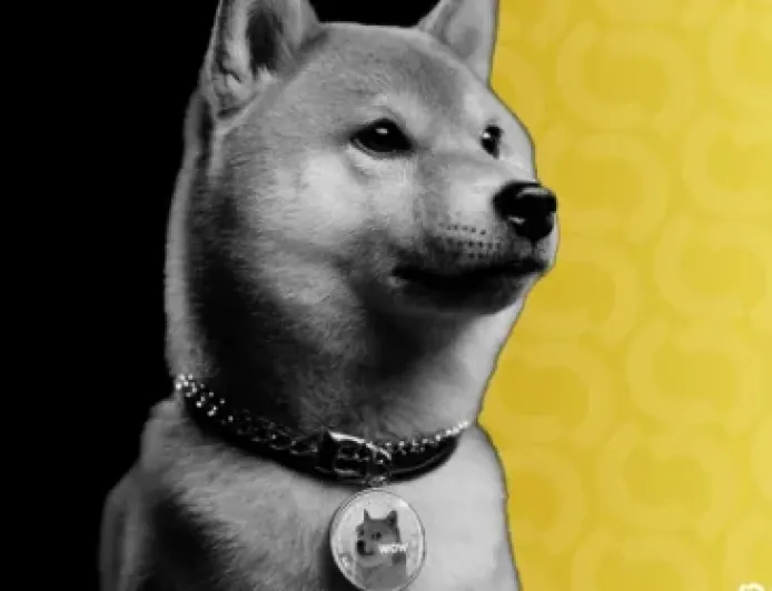 Dogecoin dẫn đầu đà giảm meme coin khi Bitcoin mất mốc 74.000 usd