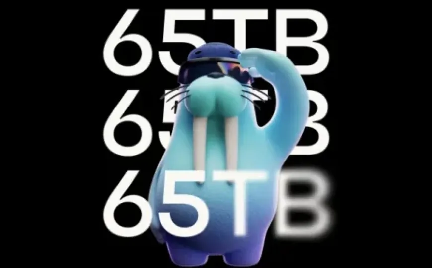 Allium đưa 65 TB dữ liệu đa chuỗi lên Walrus