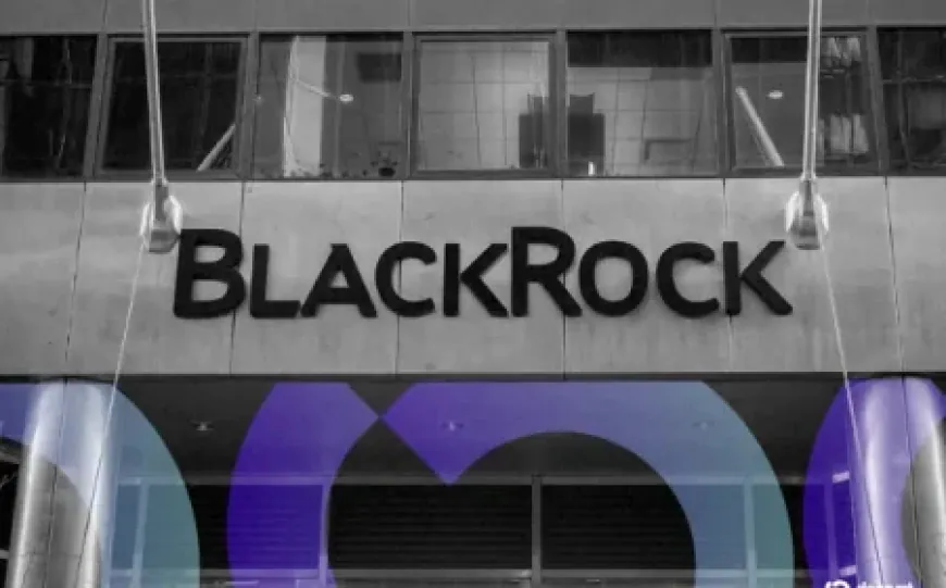 BlackRock thu 254 triệu USD trong tuần đầu với quỹ Ethereum staking