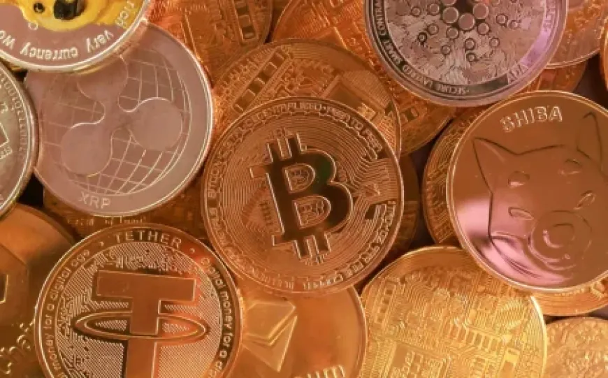 Từ thua lỗ đến bị lừa đảo: Vì sao người Việt mê tiền số đến vậy?