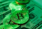 Bitcoin sắp hồi sinh?