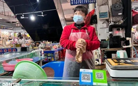 Từ nay 1 tỷ người Trung Quốc dùng Alipay có thể quét QR chi tiêu ở Việt Nam